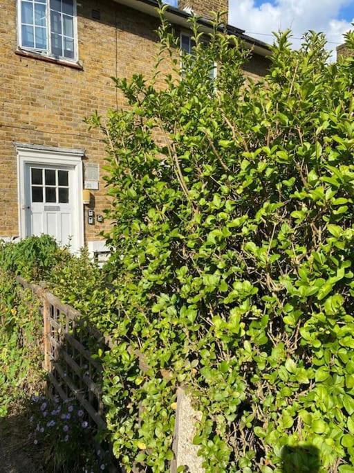 One Bedroom Putney Village Flat London Luaran gambar